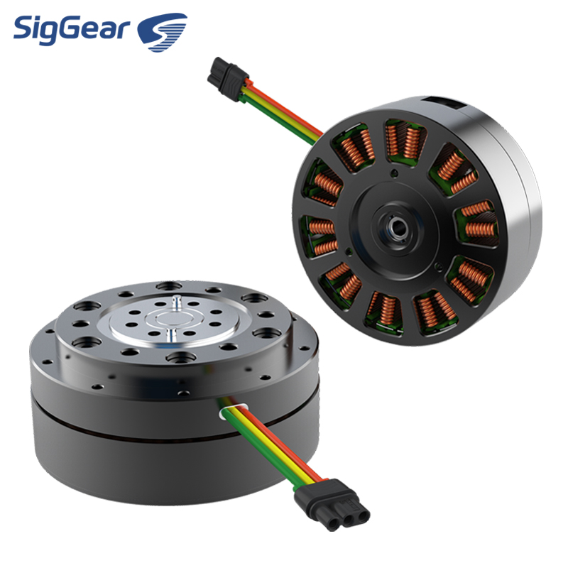 Hot Selling Micro 36v Dc Bldc  - Cycloidal Reducer Bldc Motor 评论和价格
