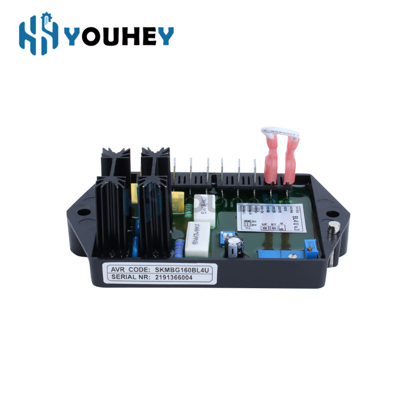 BL4U AVR BL4-U Automatic Volta - Cycloidal Reducer Bldc Motor 评论和价格